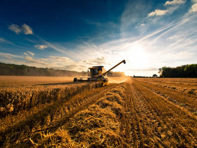 TOTAL AGRI: инновационные масла для сельского хозяйства