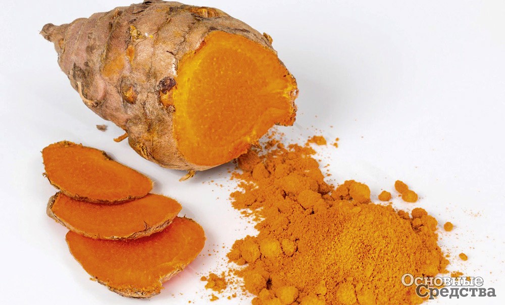 Куркума применялась для окрашивания масла в зеленый или желтый цвет