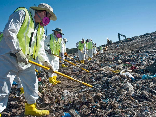 Богатства из мусора