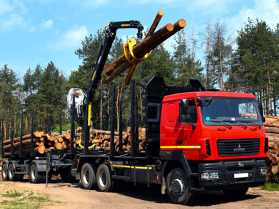 Экспорт леса из России сократился